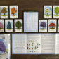 Arboretum